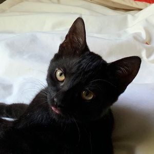 Meet your Posher, Mary